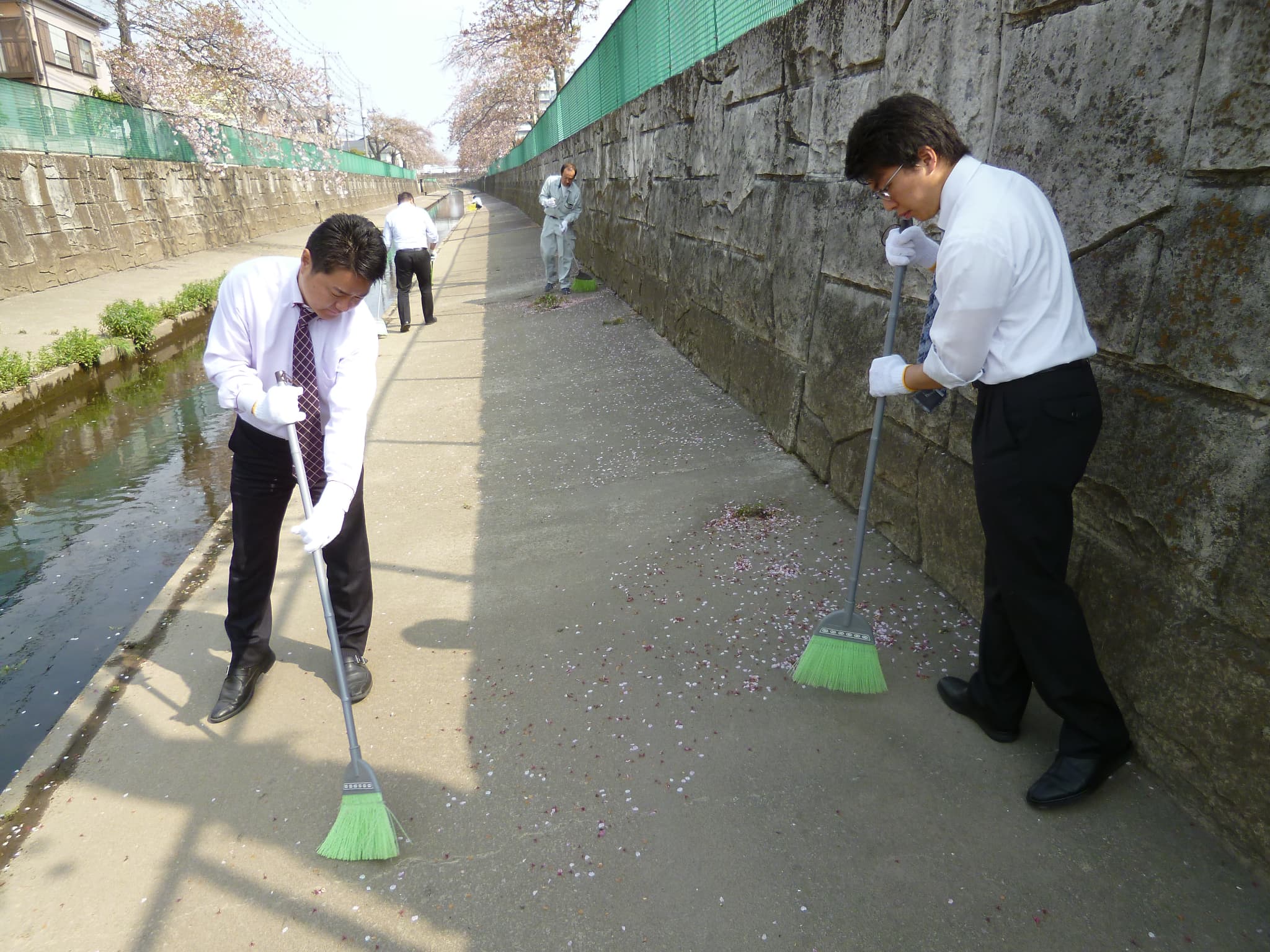 社員による緑川の清掃活動